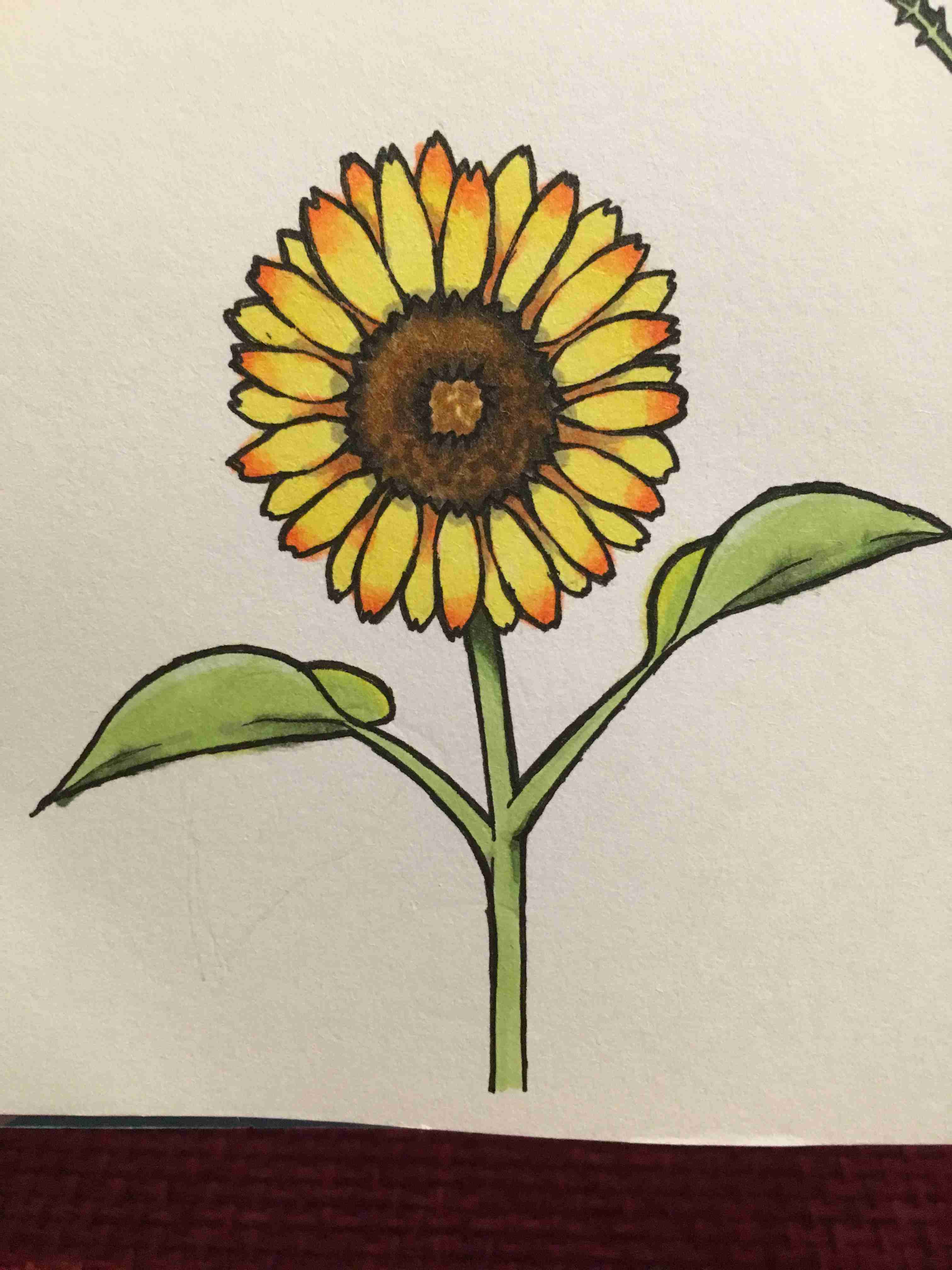 【お絵描き】定期絵トピ総合【7月】