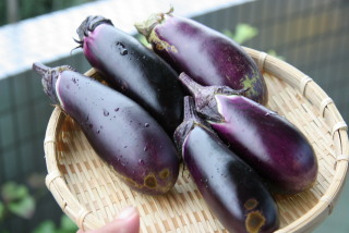 ダイエットの強い味方！たっぷり食べて痩せる「夏野菜」8選