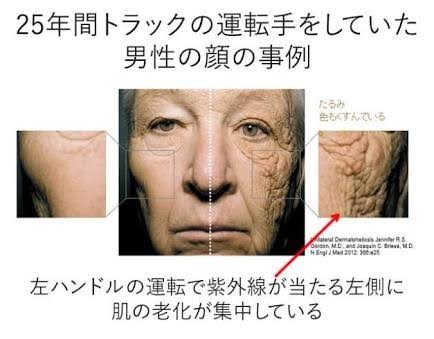 老化防止に効果のある食べ物