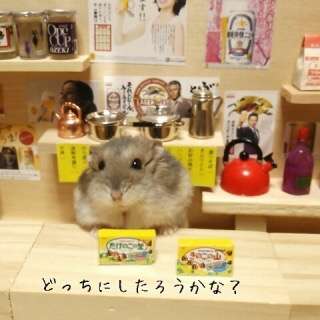 スーパーで買えるおいしいお菓子