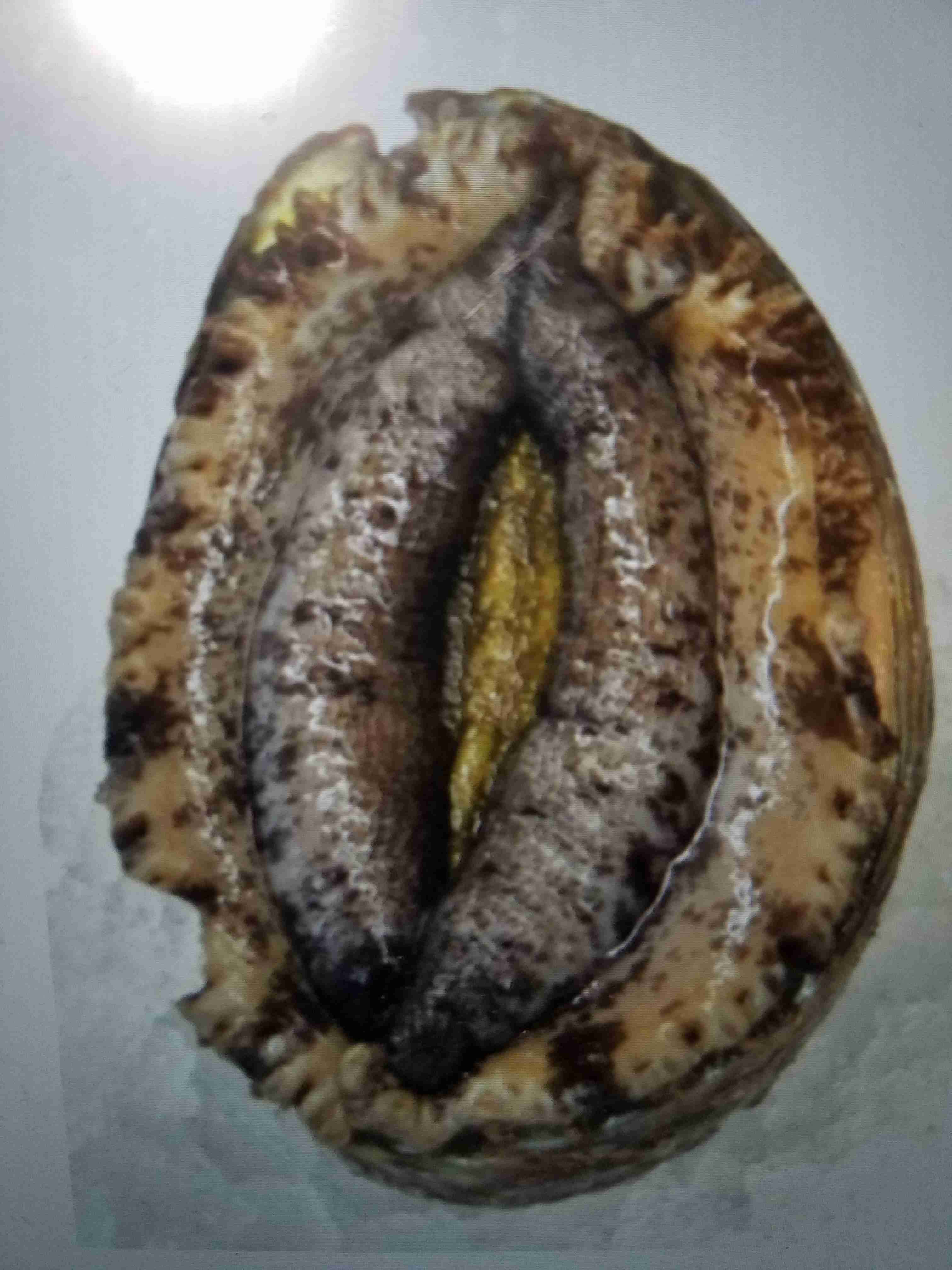 男性と食事をしていて、こっちまで嬉しくなる食べ物の好み!