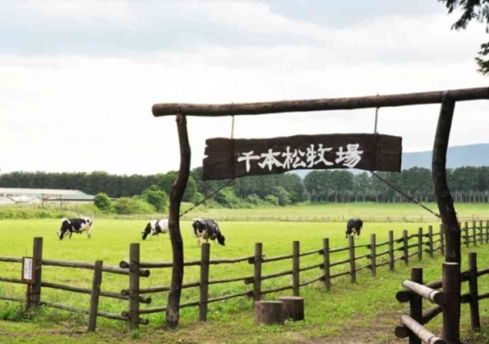 那須のおすすめスポット🍆