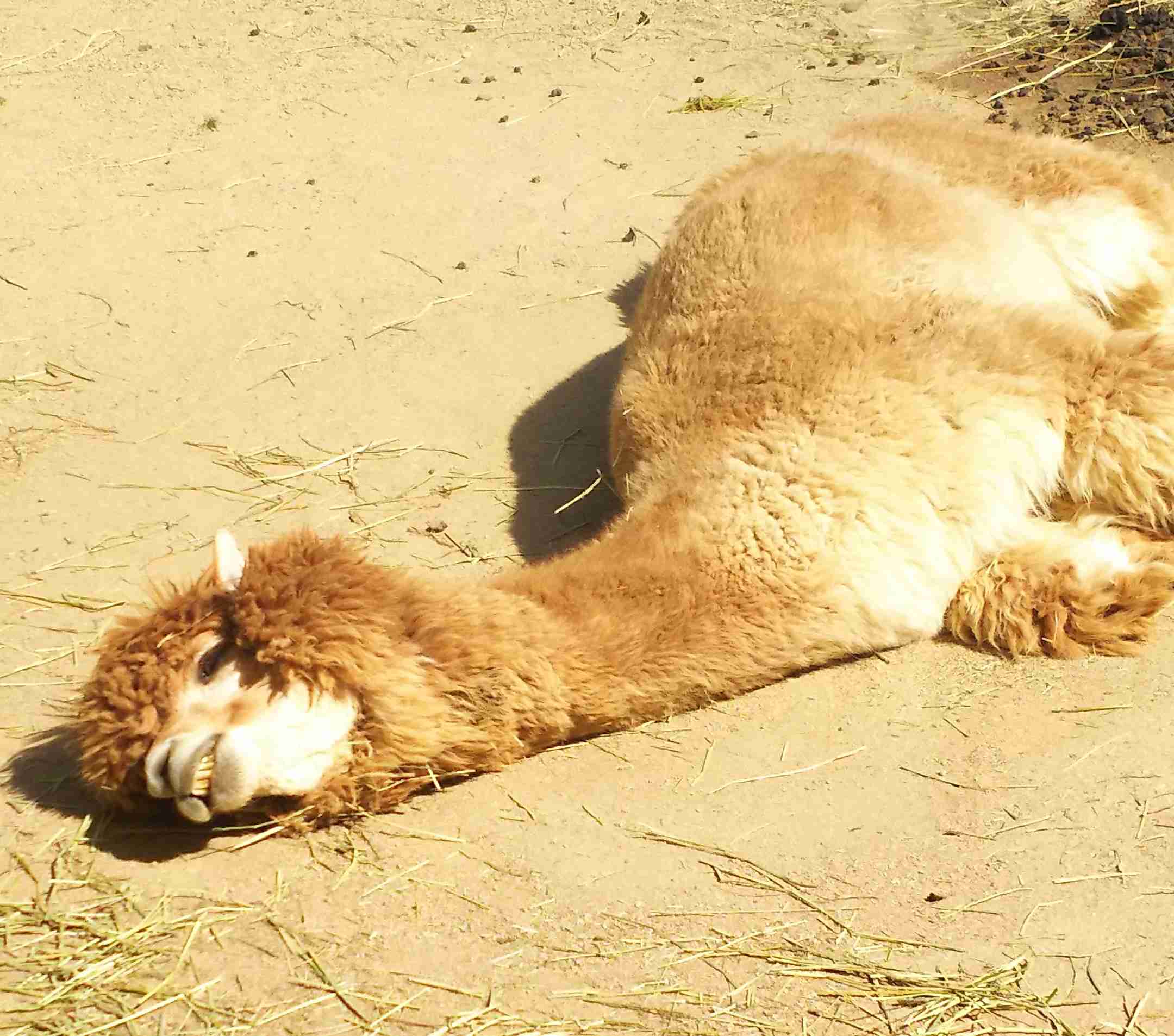 情緒不安定な時の気分転換