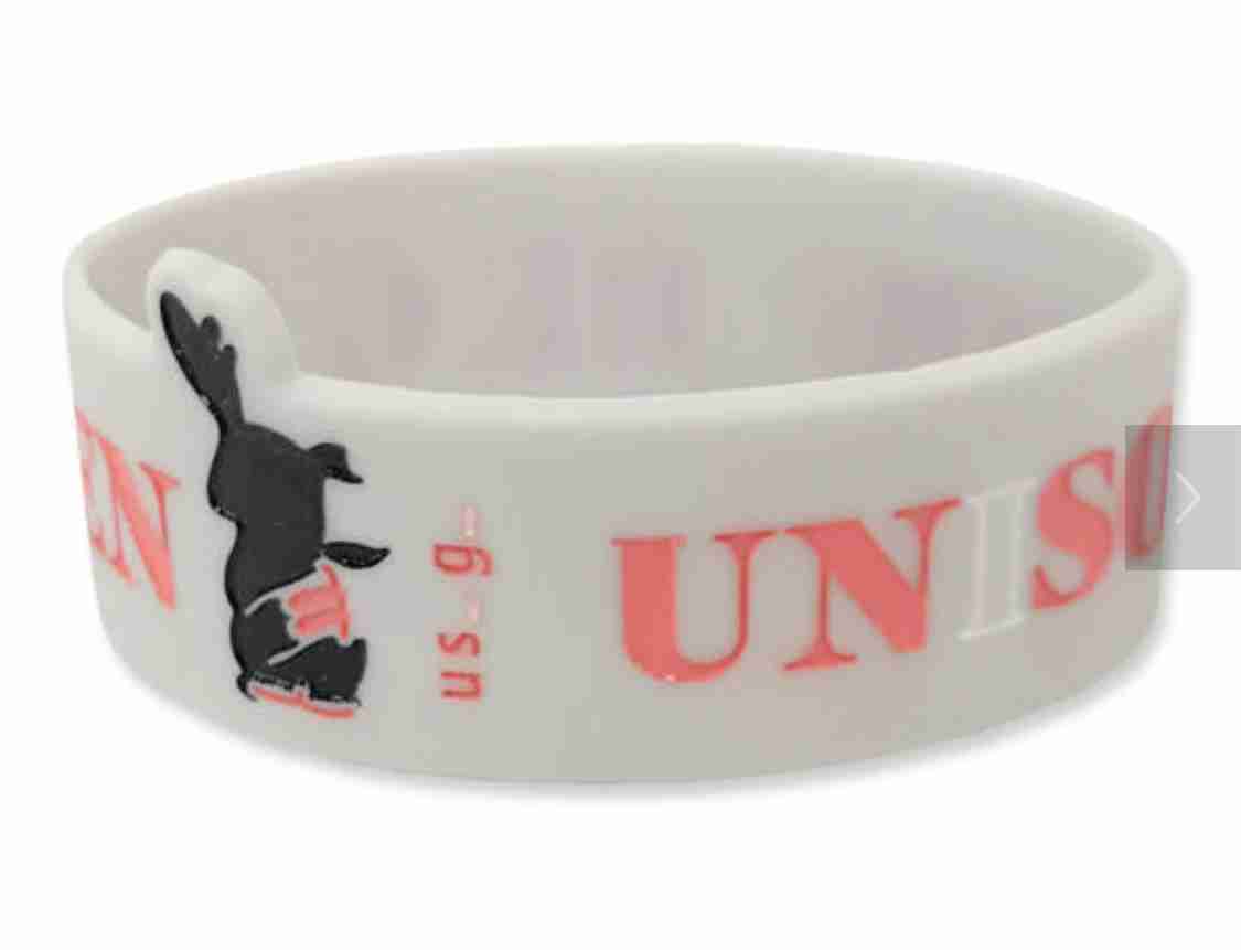 UNISON SQUARE GARDEN好きな人