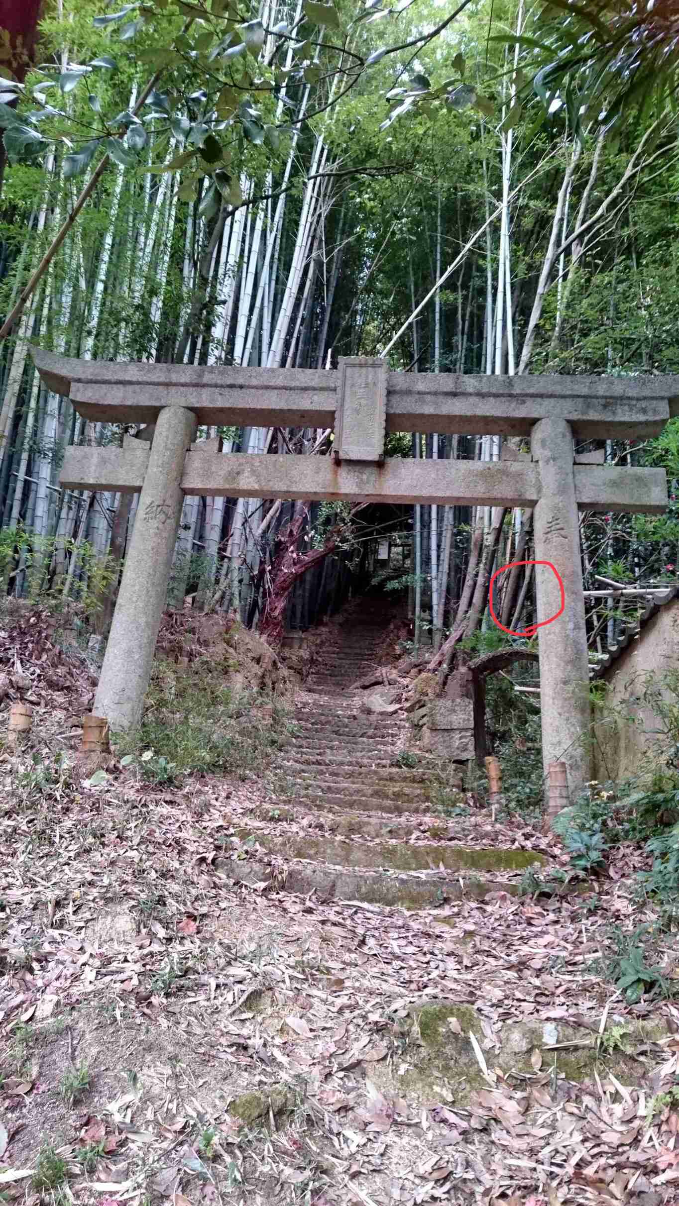 心霊スポットを語るトピ