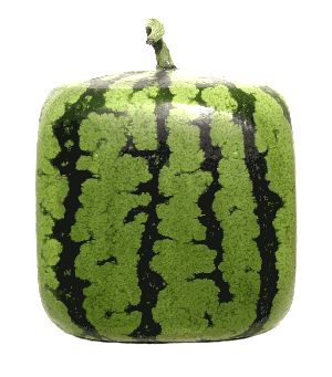 浜崎あゆみ、あの歌姫2人に寄せすぎていると批判殺到「髪型もメイクもパクリ」「これは意識しすぎ」