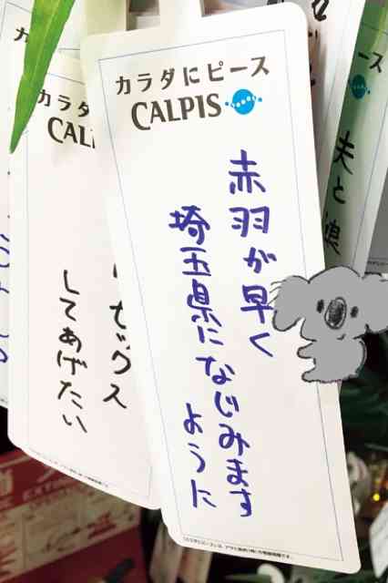 【画像コラージュ】コアラが○○に摑まってる！のトピ
