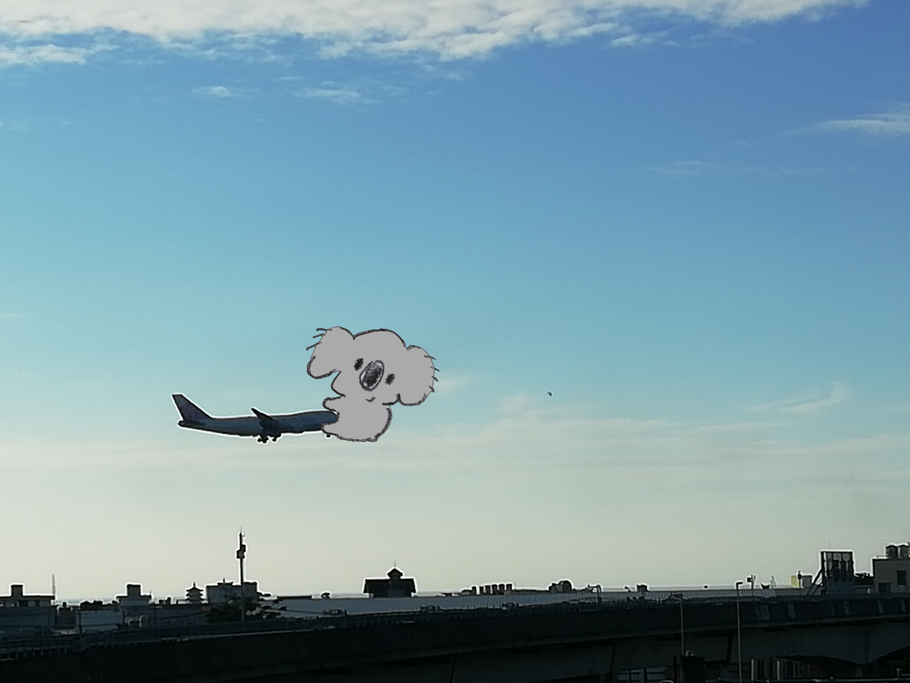 【画像コラージュ】コアラが○○に摑まってる！のトピ