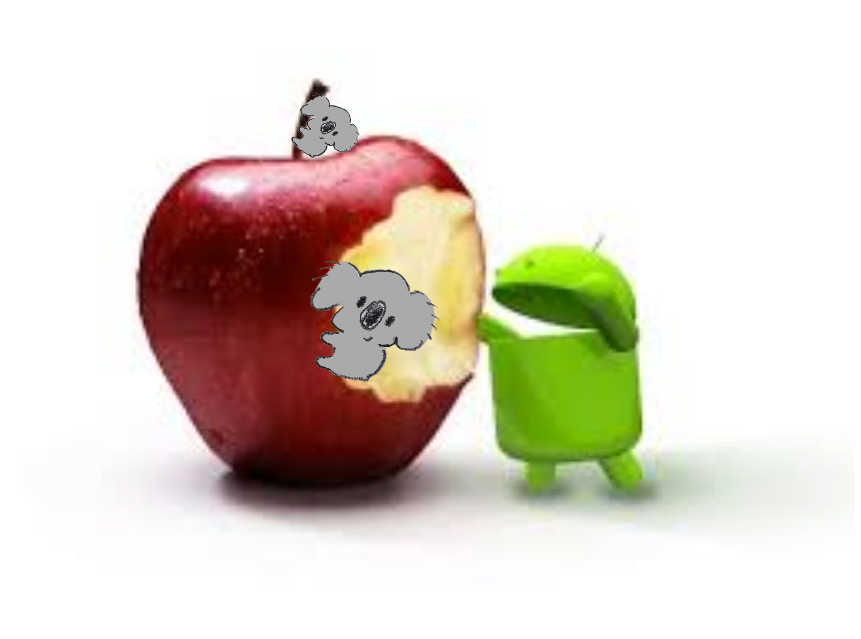 【画像コラージュ】コアラが○○に摑まってる！のトピ