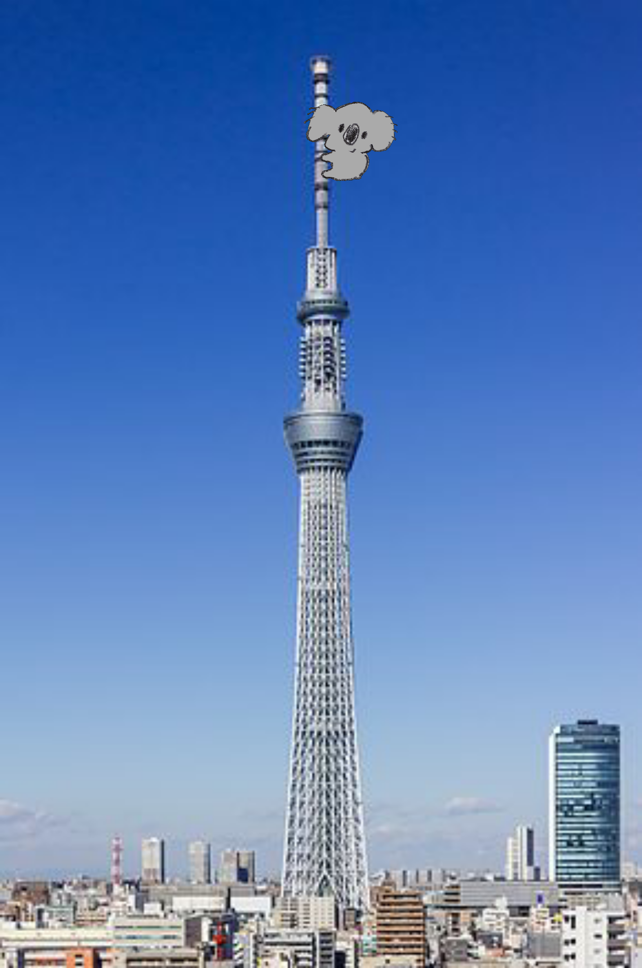 【画像コラージュ】コアラが○○に摑まってる！のトピ