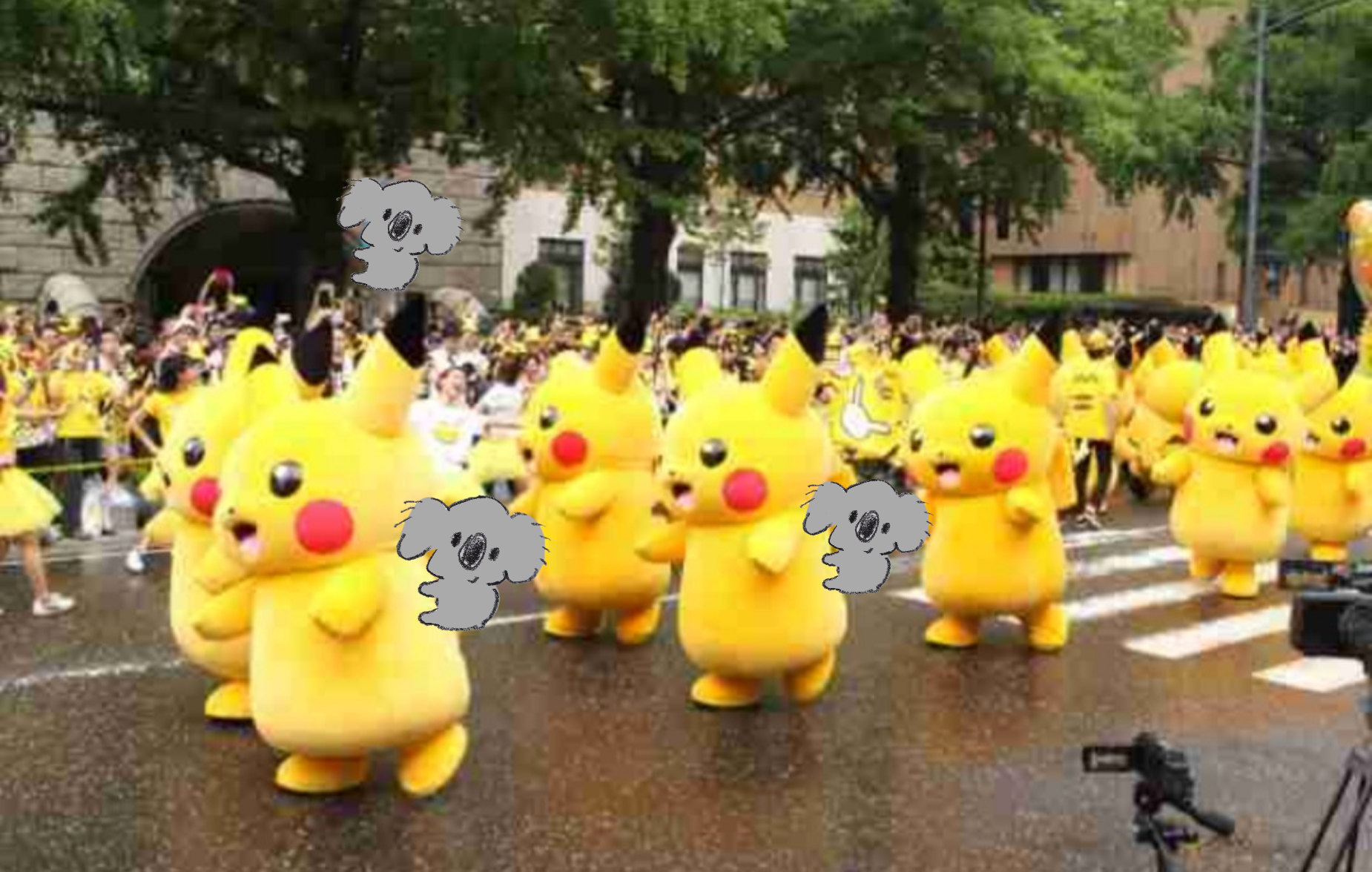 【画像コラージュ】コアラが○○に摑まってる！のトピ