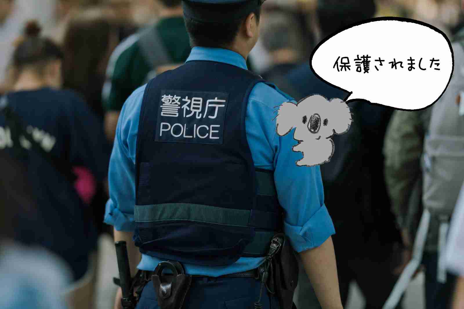 【画像コラージュ】コアラが○○に摑まってる！のトピ