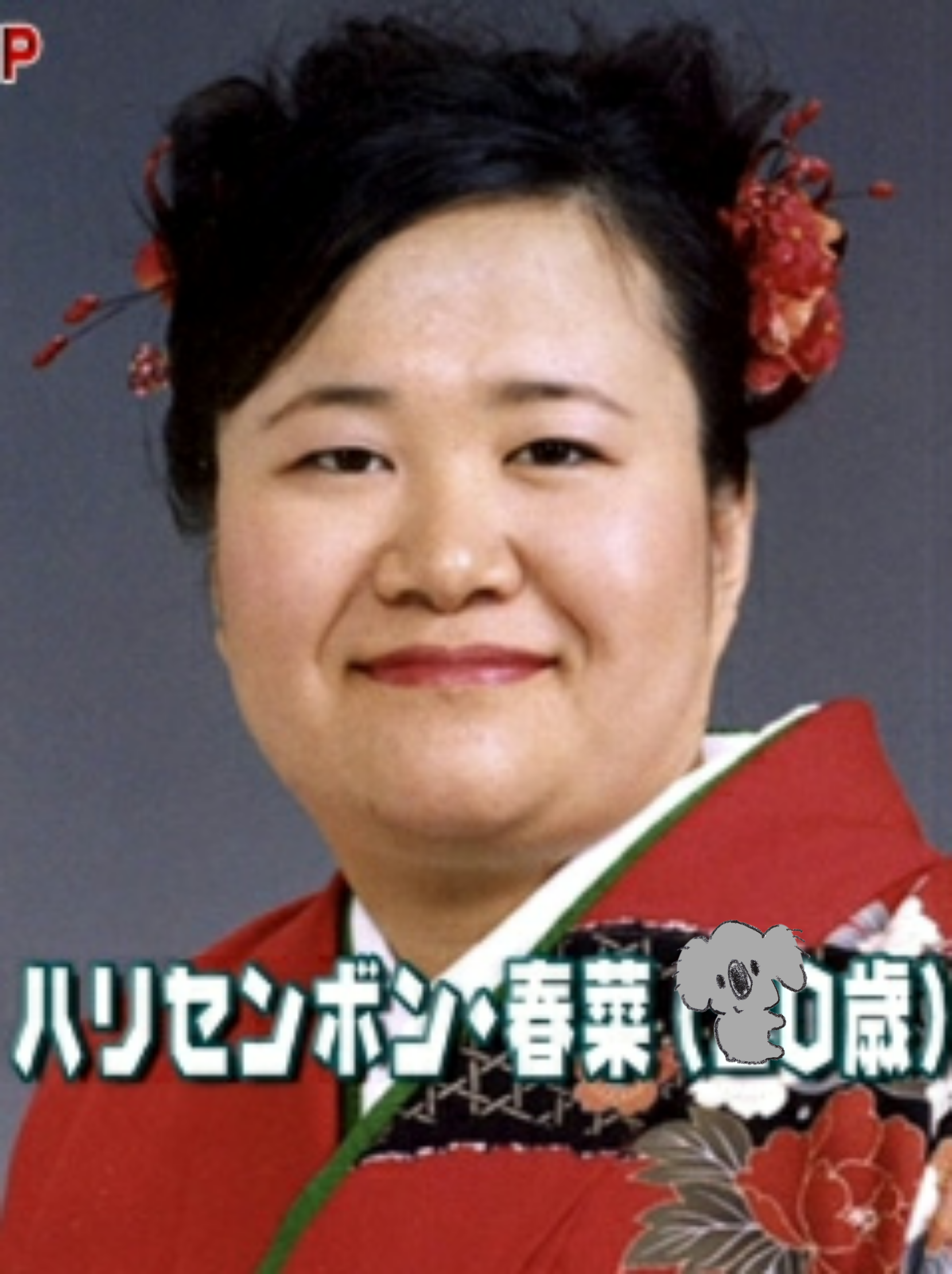 【画像コラージュ】コアラが○○に摑まってる！のトピ