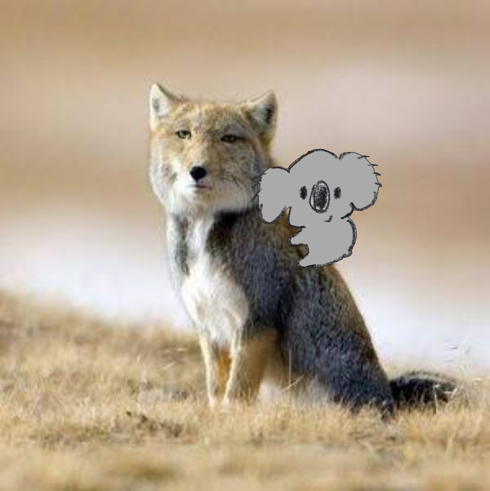 【画像コラージュ】コアラが○○に摑まってる！のトピ