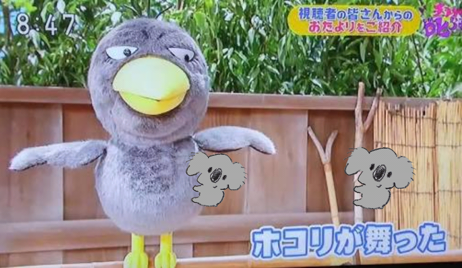 【画像コラージュ】コアラが○○に摑まってる！のトピ