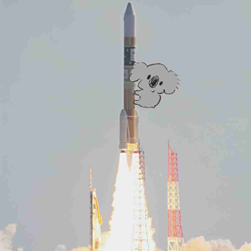 【画像コラージュ】コアラが○○に摑まってる！のトピ