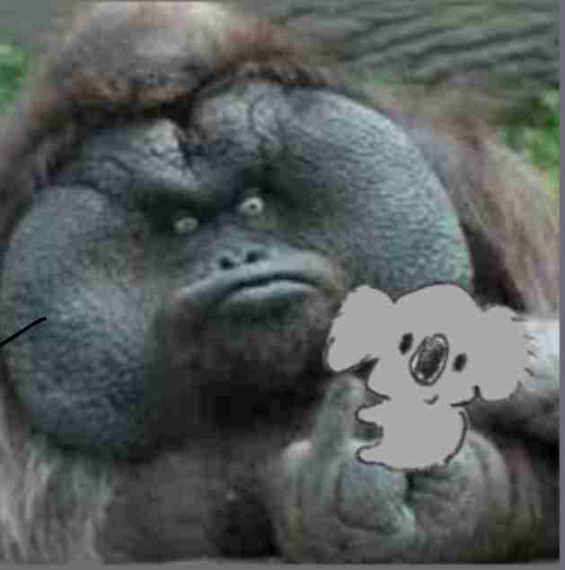 【画像コラージュ】コアラが○○に摑まってる！のトピ