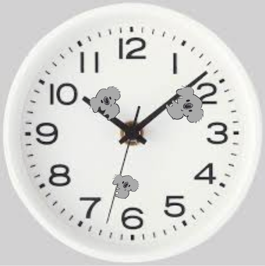 【画像コラージュ】コアラが○○に摑まってる！のトピ