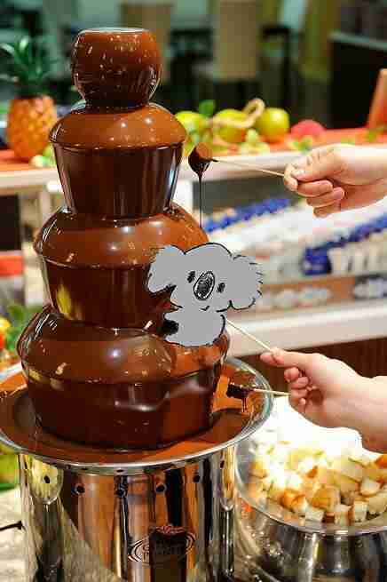 【画像コラージュ】コアラが○○に摑まってる！のトピ