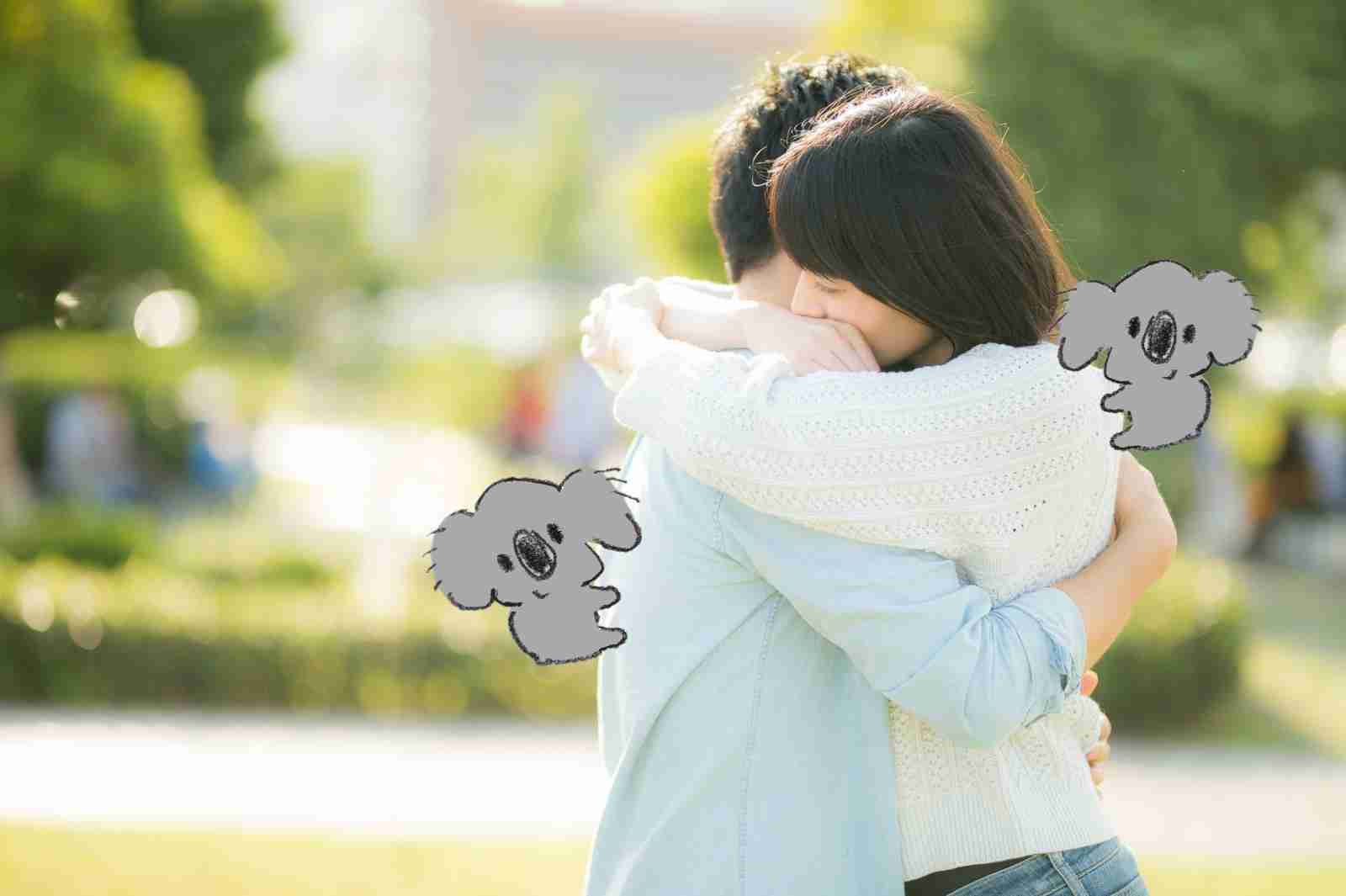 【画像コラージュ】コアラが○○に摑まってる！のトピ