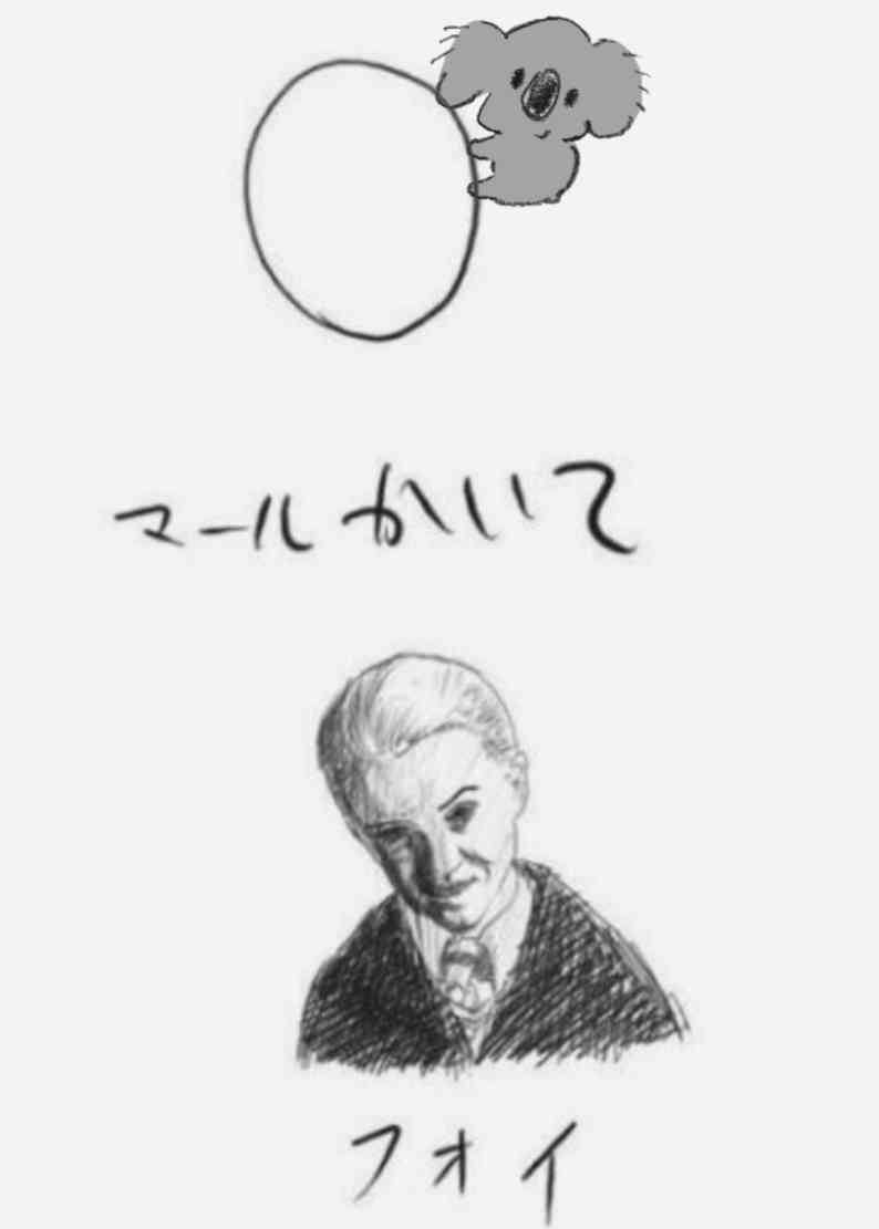 【画像コラージュ】コアラが○○に摑まってる！のトピ