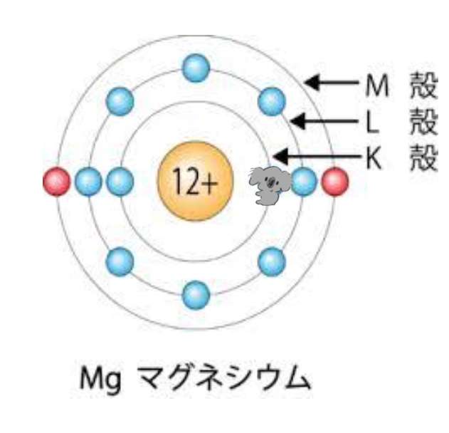 【画像コラージュ】コアラが○○に摑まってる！のトピ