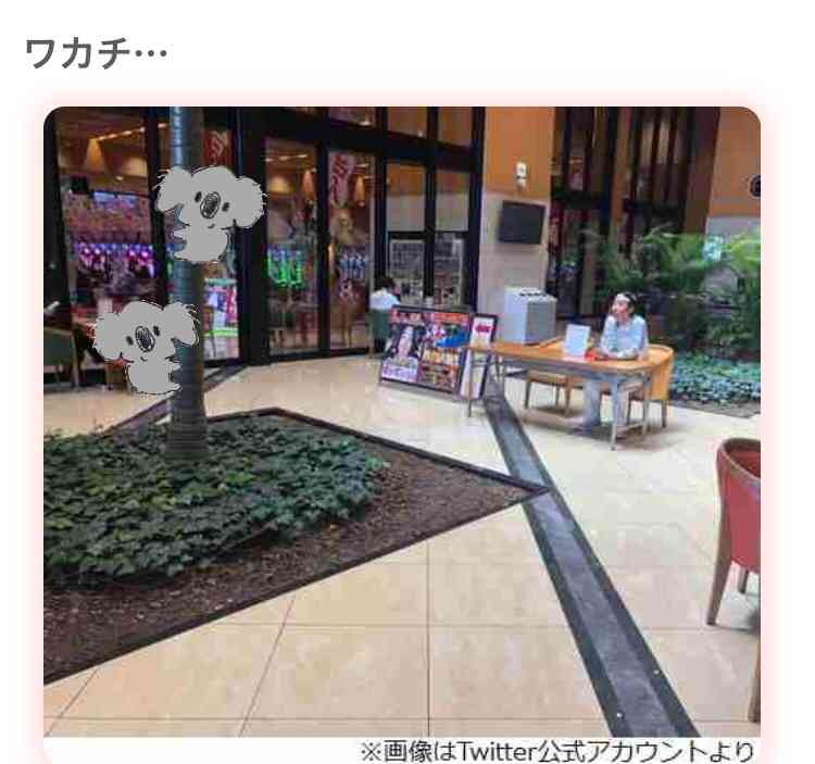 【画像コラージュ】コアラが○○に摑まってる！のトピ