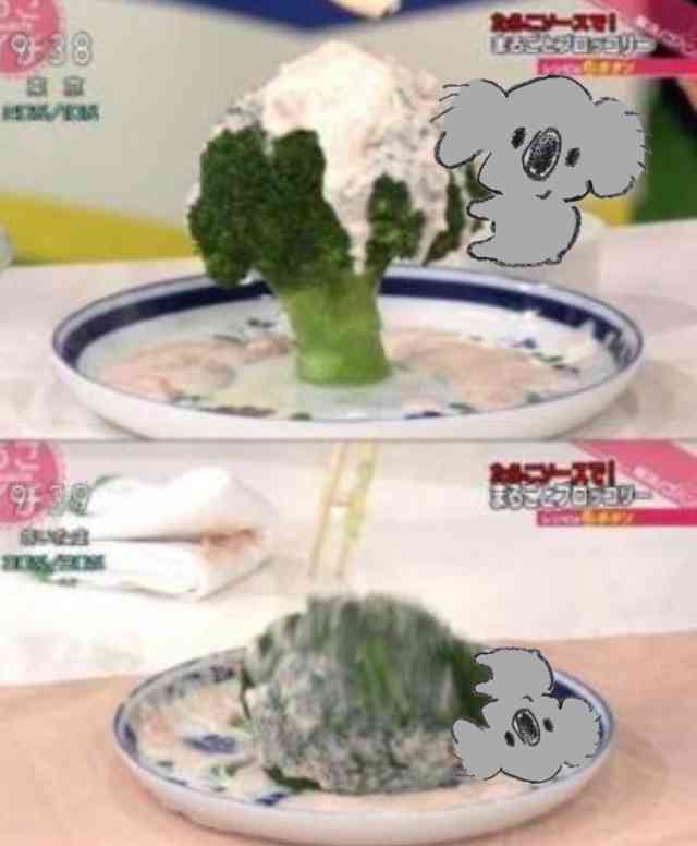 【画像コラージュ】コアラが○○に摑まってる！のトピ