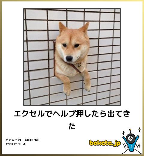 【bokete】ボケてで1000コメ以上目指そう!