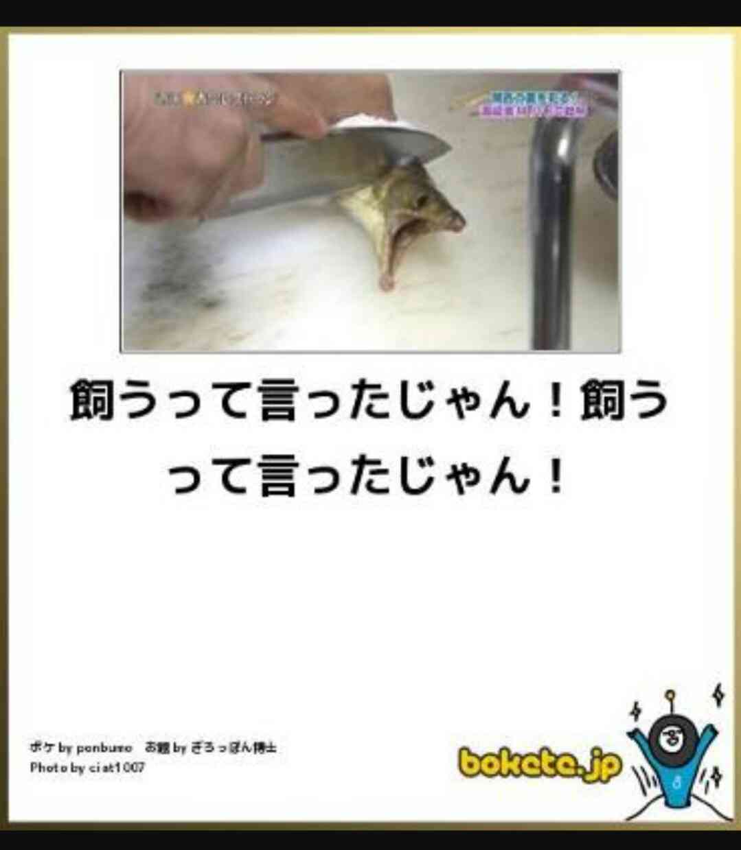 【bokete】ボケてで1000コメ以上目指そう!