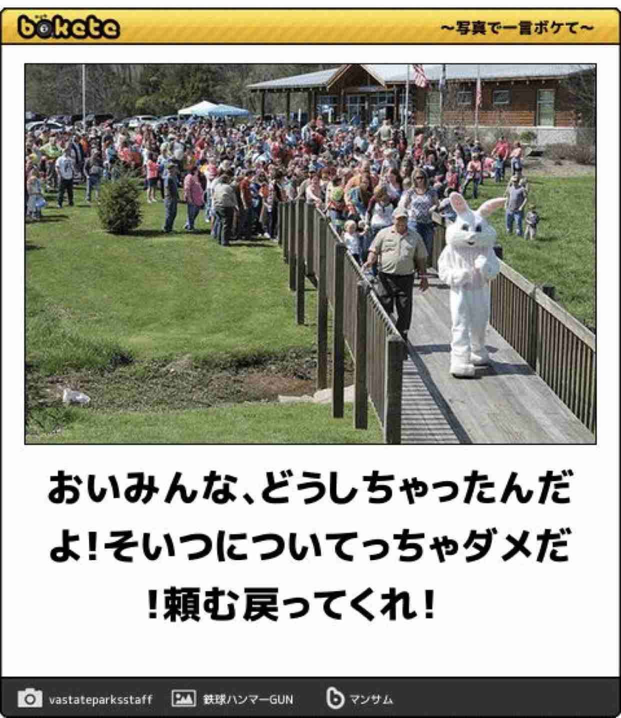 【bokete】ボケてで1000コメ以上目指そう!