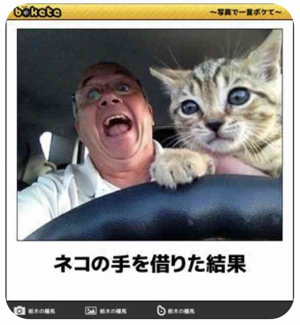 【bokete】ボケてで1000コメ以上目指そう!