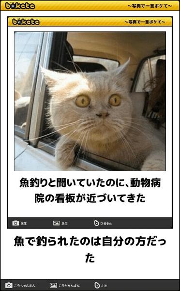 【bokete】ボケてで1000コメ以上目指そう!