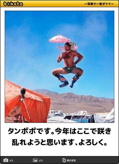 【bokete】ボケてで1000コメ以上目指そう!