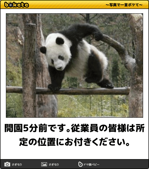 【bokete】ボケてで1000コメ以上目指そう!
