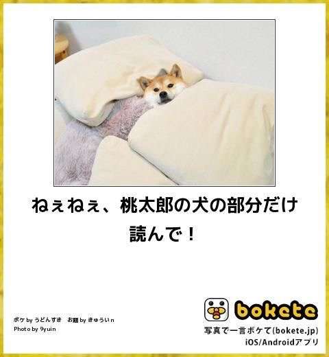 【bokete】ボケてで1000コメ以上目指そう!