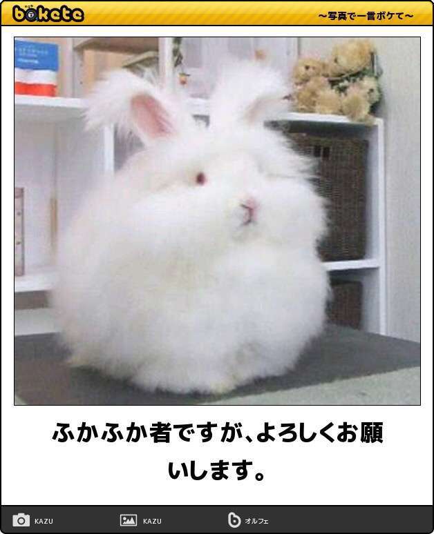 【bokete】ボケてで1000コメ以上目指そう!