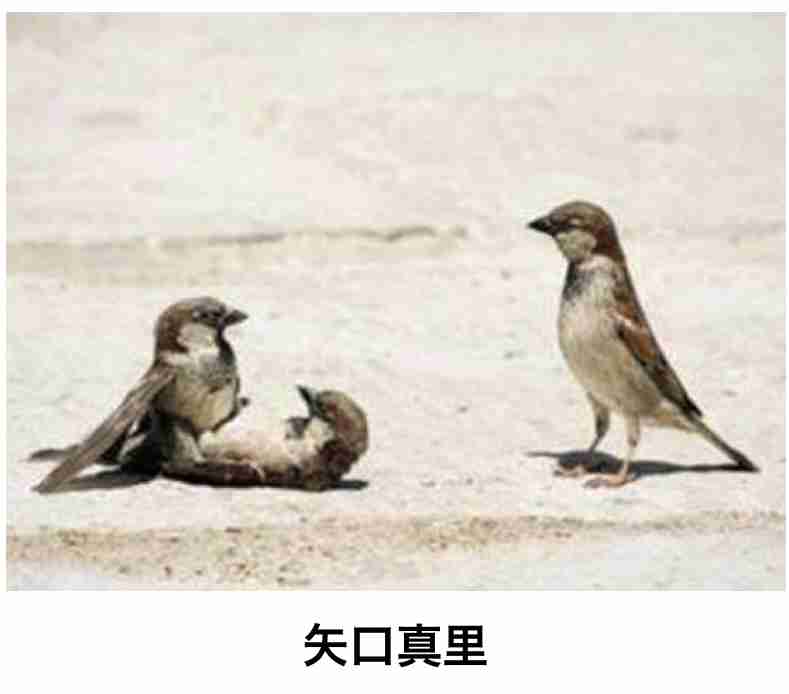 【bokete】ボケてで1000コメ以上目指そう!