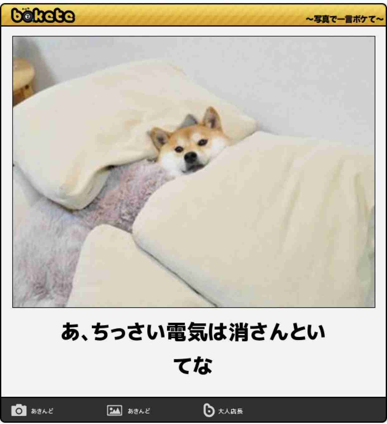 【bokete】ボケてで1000コメ以上目指そう!
