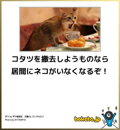 【bokete】ボケてで1000コメ以上目指そう!