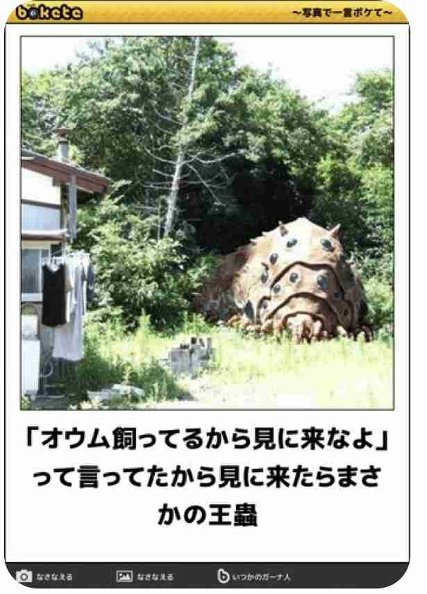 【bokete】ボケてで1000コメ以上目指そう!