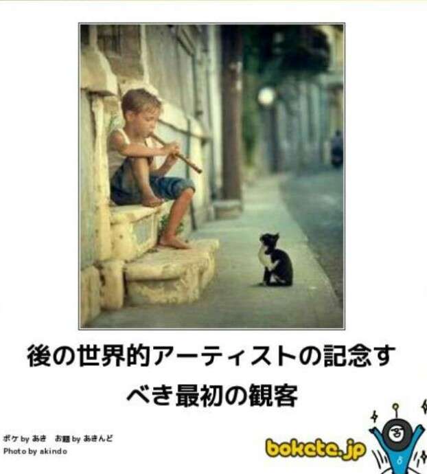 【bokete】ボケてで1000コメ以上目指そう!