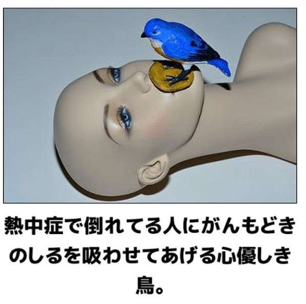 【bokete】ボケてで1000コメ以上目指そう!