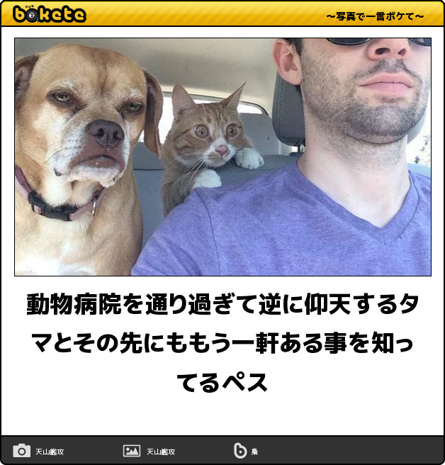 【bokete】ボケてで1000コメ以上目指そう!