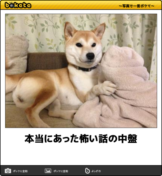 【bokete】ボケてで1000コメ以上目指そう!