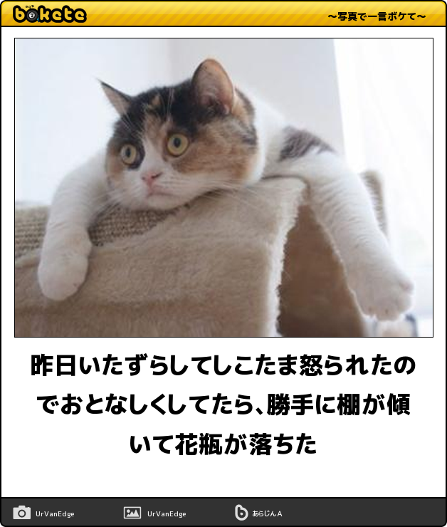 【bokete】ボケてで1000コメ以上目指そう!