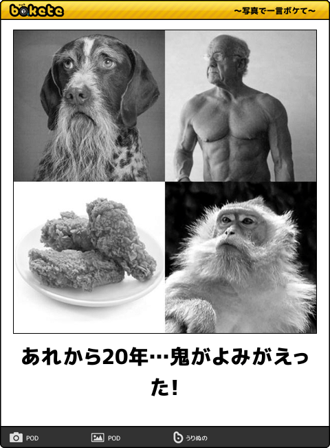 【bokete】ボケてで1000コメ以上目指そう!