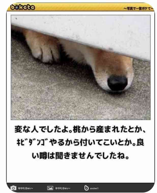 【bokete】ボケてで1000コメ以上目指そう!