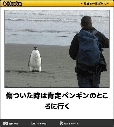 【bokete】ボケてで1000コメ以上目指そう!