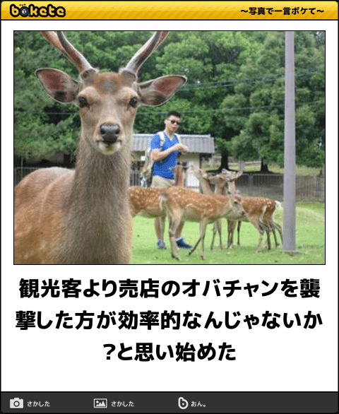 【bokete】ボケてで1000コメ以上目指そう!